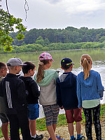 Natur Workshop: Leben in Wald, Wiese und Wasser