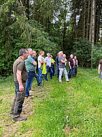 Klimafitter Wald - kostenloser Workshop
