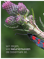 Markt der Artenvielfalt