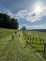 Genusswandern im Auersbachtal