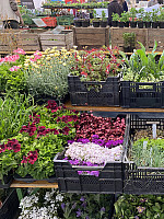 Markt der Sinne Markt der Sinne