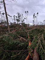 Naturgefahrentagung - Stürmische Zeiten: Gewitter, Wind & ihre Auswirkungen Naturgefahrentagung - Stürmische Zeiten: Gewitter, Wind & ihre Auswirkungen